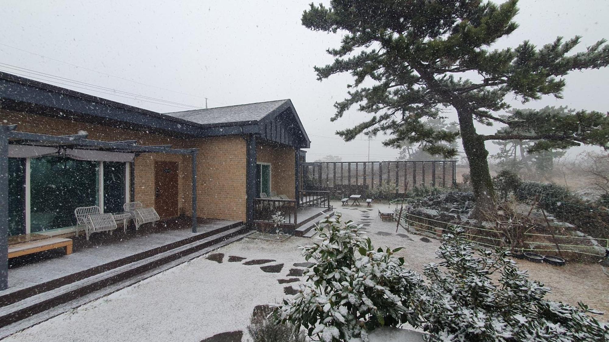 Wind Jeju Cafe & Pension Seogwipo Exterior photo