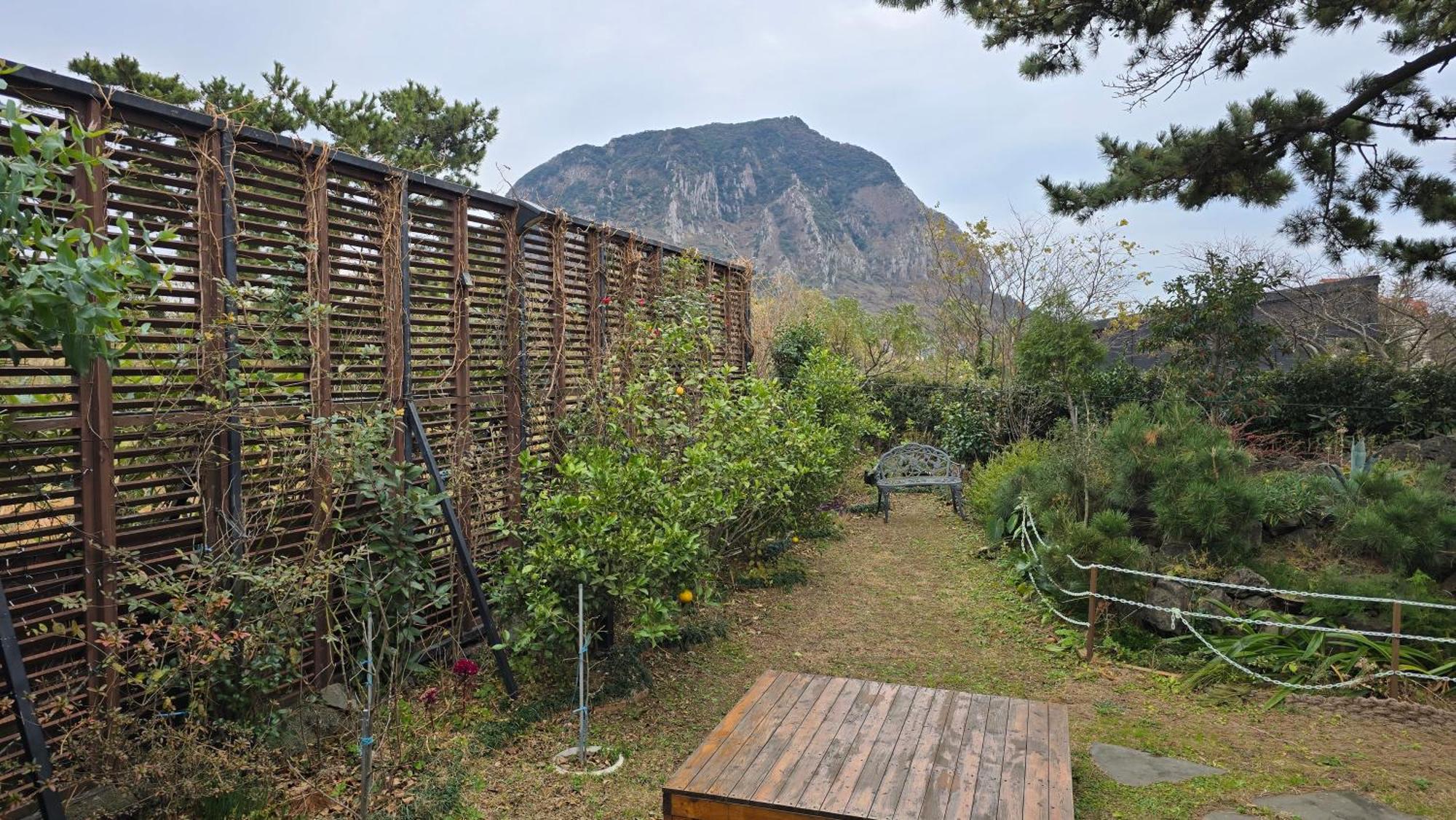 Wind Jeju Cafe & Pension Seogwipo Exterior photo