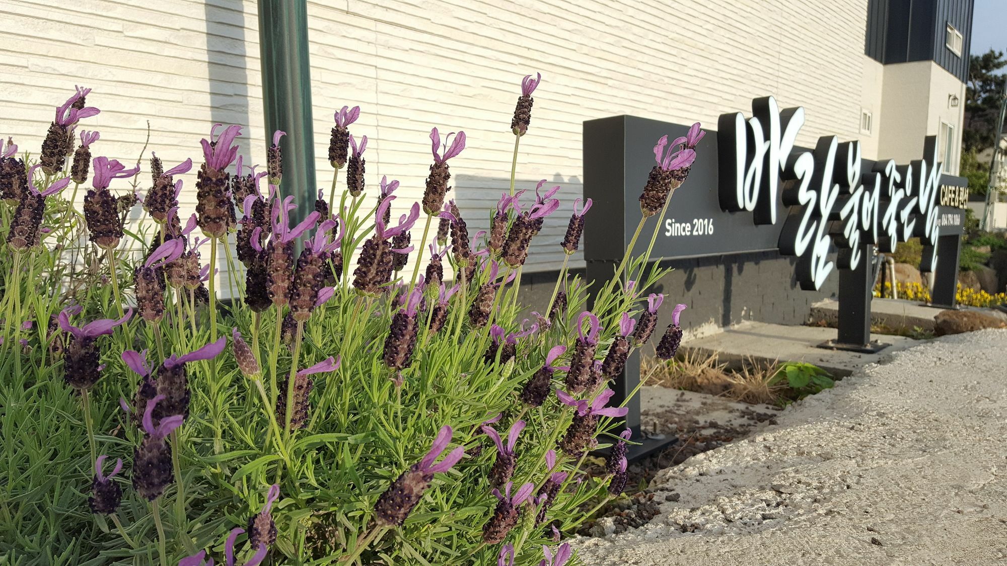 Wind Jeju Cafe & Pension Seogwipo Exterior photo