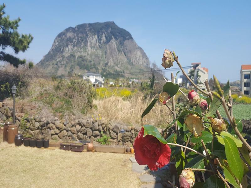 Wind Jeju Cafe & Pension Seogwipo Exterior photo